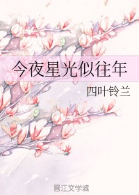 今夜星光似往年