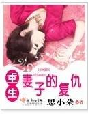 重生妻子的复仇