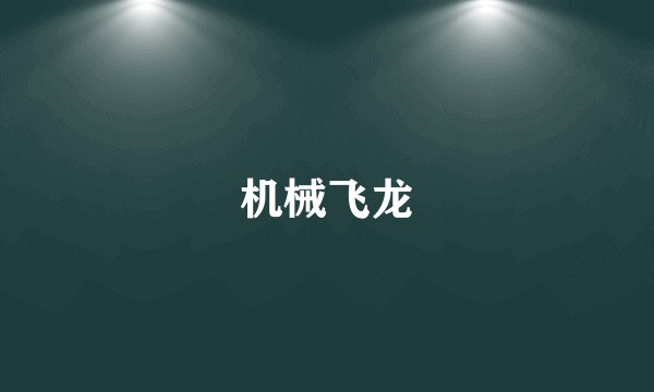 机械飞龙