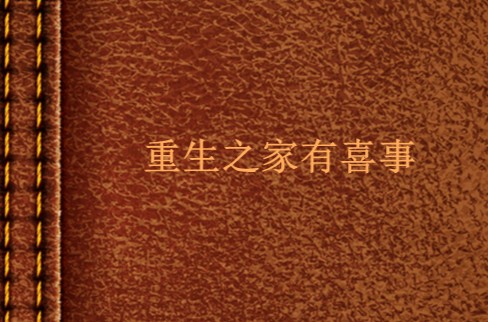 重生之家有喜事