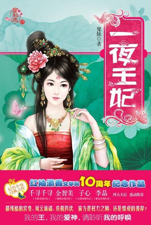 一夜王妃(2009年重庆出版社出版的图书)