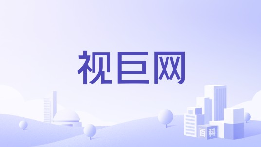 视巨网