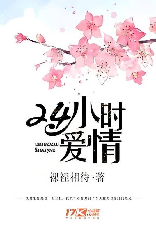 24小时爱情（裸裎相待创作的言情小说）