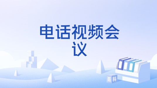 电话视频会议