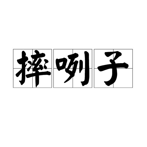 摔咧子