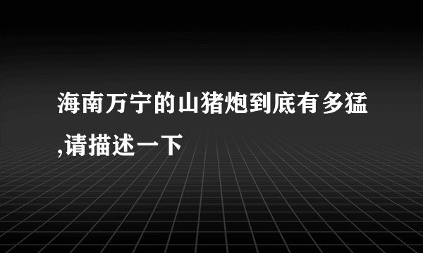 海南万宁的山猪炮到底有多猛,请描述一下