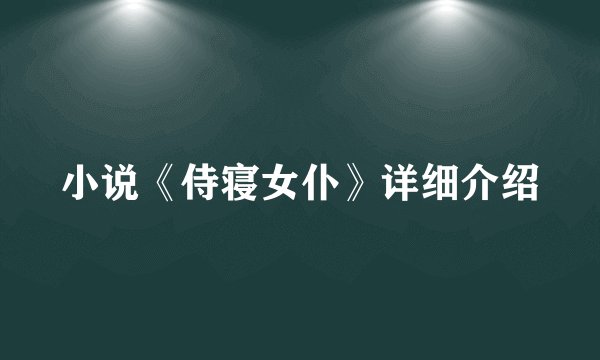 小说《侍寝女仆》详细介绍