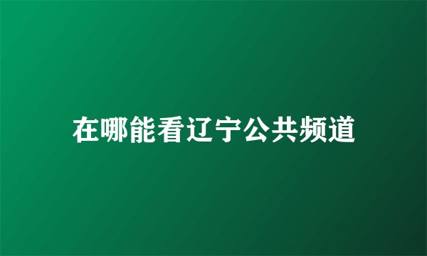 在哪能看辽宁公共频道