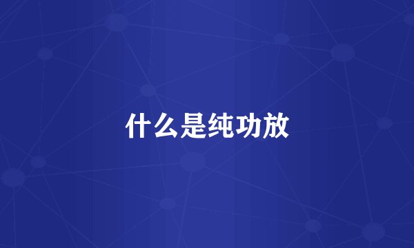 什么是纯功放