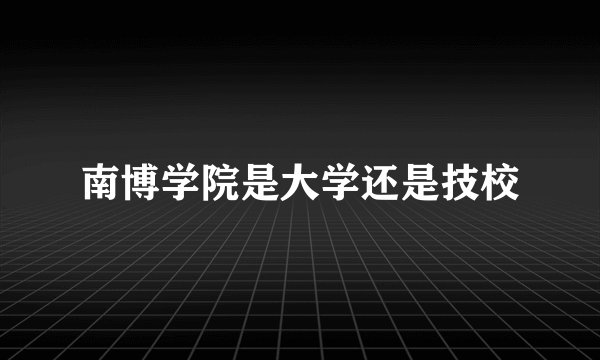 南博学院是大学还是技校