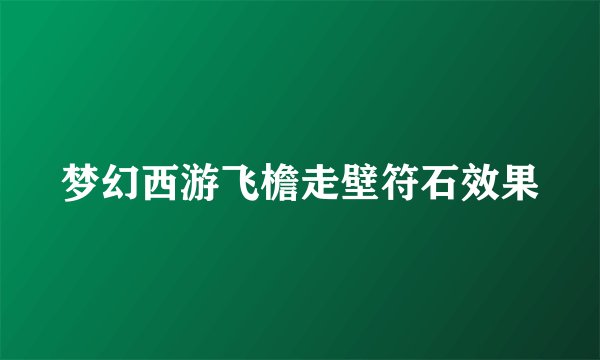 梦幻西游飞檐走壁符石效果