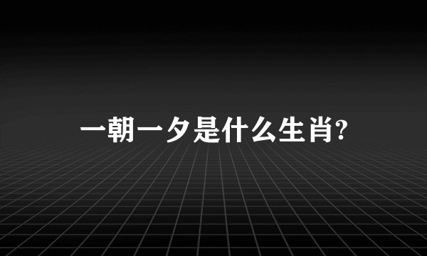 一朝一夕是什么生肖?