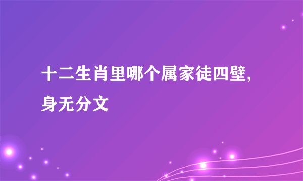 十二生肖里哪个属家徒四壁,身无分文