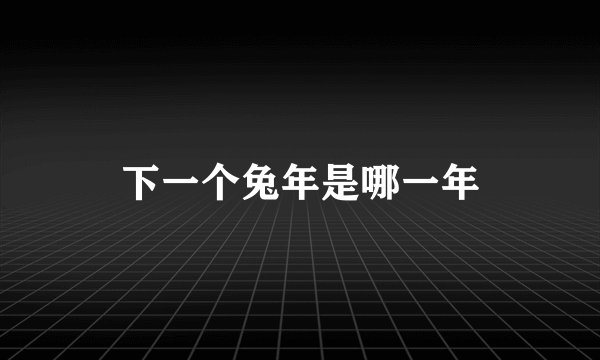 下一个兔年是哪一年