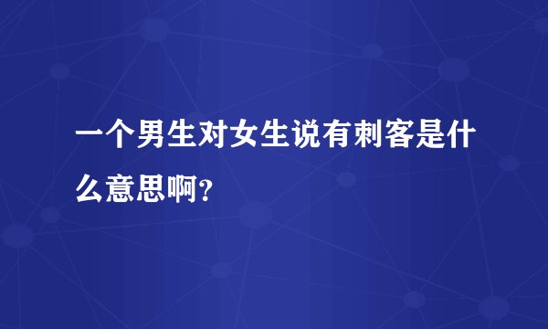 一个男生对女生说有刺客是什么意思啊？