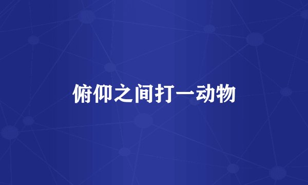 俯仰之间打一动物