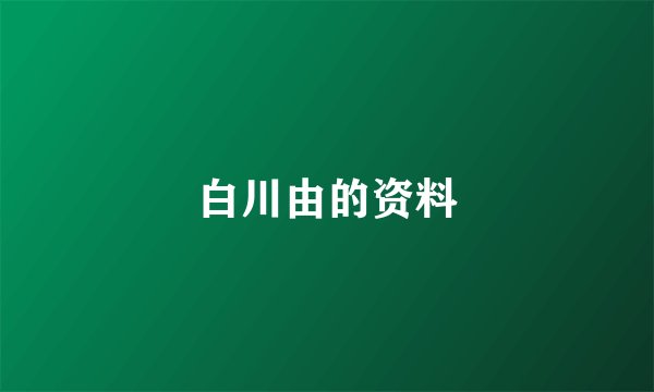 白川由的资料