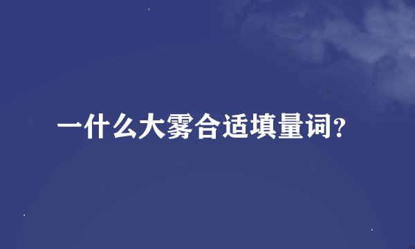 一什么大雾合适填量词？