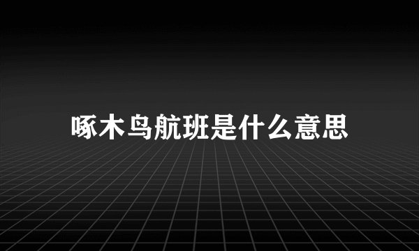 啄木鸟航班是什么意思