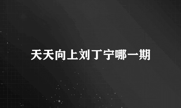 天天向上刘丁宁哪一期