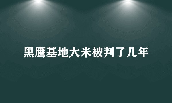 黑鹰基地大米被判了几年