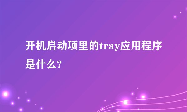 开机启动项里的tray应用程序是什么?