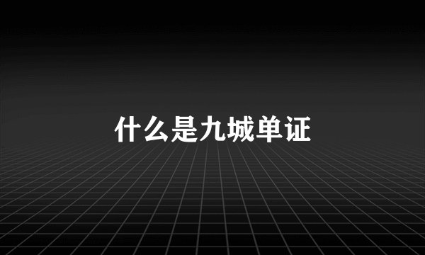 什么是九城单证