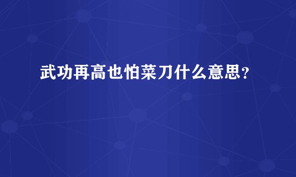 武功再高也怕菜刀什么意思？