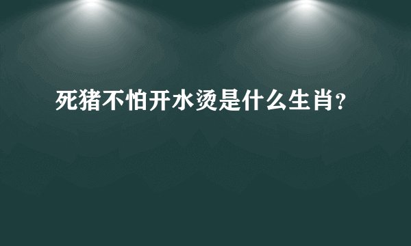 死猪不怕开水烫是什么生肖？