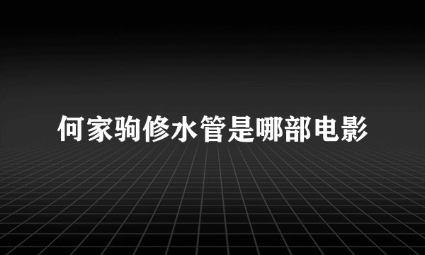 何家驹修水管是哪部电影