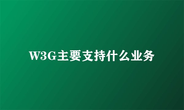 W3G主要支持什么业务