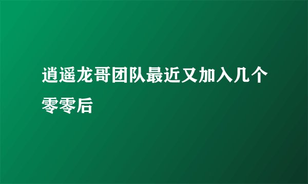 逍遥龙哥团队最近又加入几个零零后