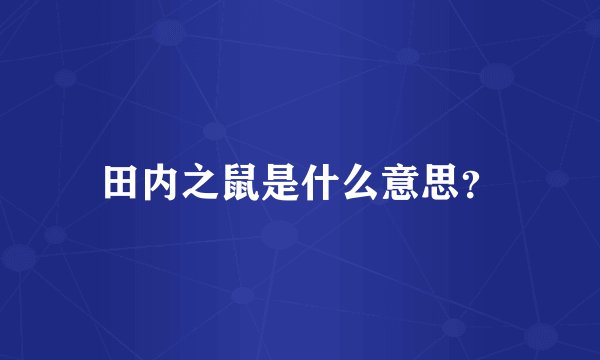 田内之鼠是什么意思？