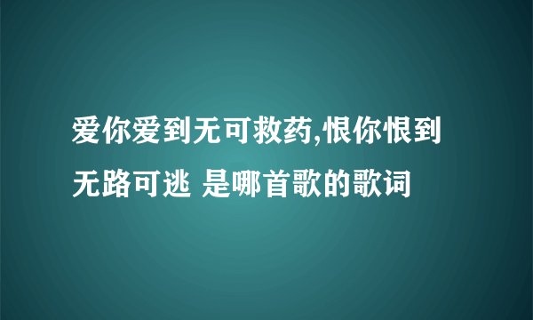 爱你爱到无可救药,恨你恨到无路可逃 是哪首歌的歌词