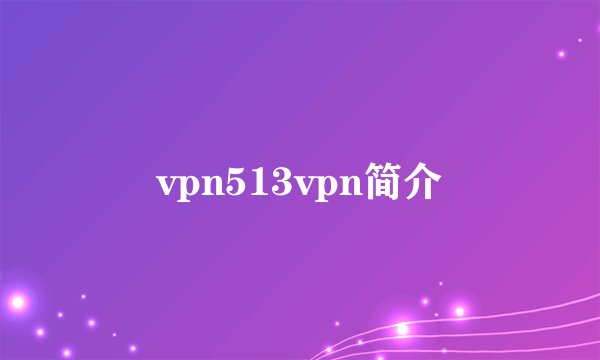 vpn513vpn简介