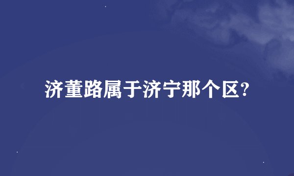 济董路属于济宁那个区?