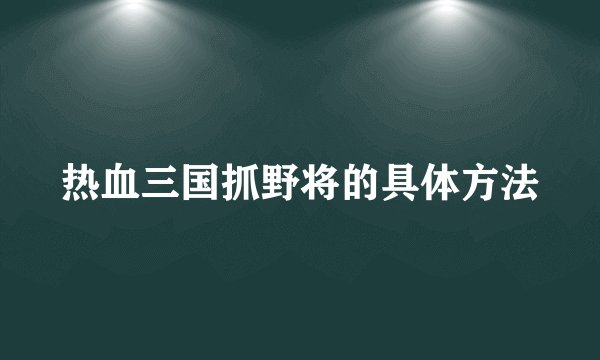 热血三国抓野将的具体方法