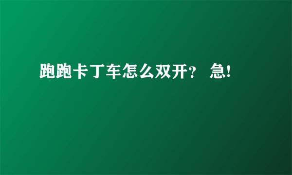 跑跑卡丁车怎么双开？ 急!
