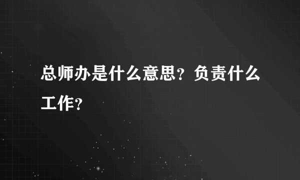 总师办是什么意思？负责什么工作？