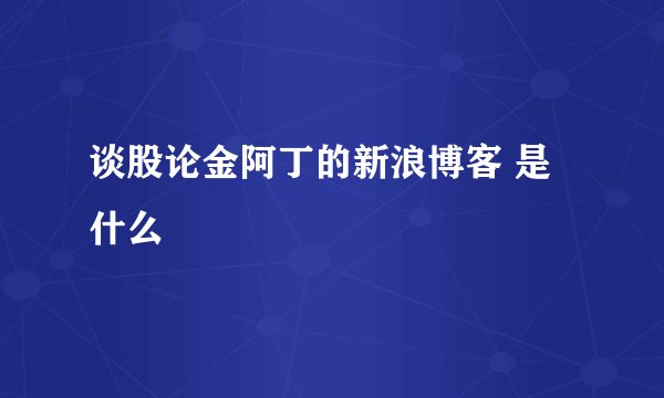 谈股论金阿丁的新浪博客 是什么