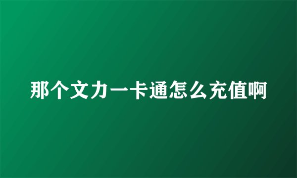 那个文力一卡通怎么充值啊