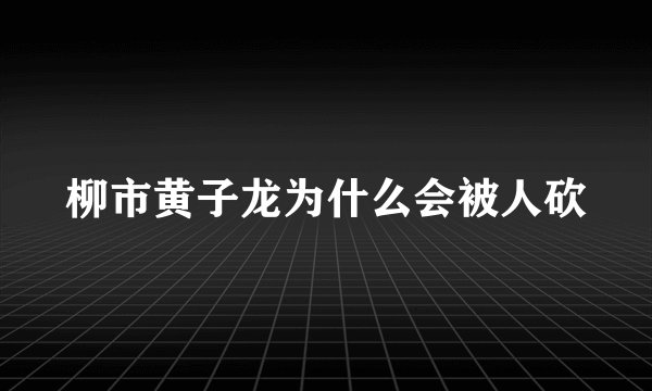 柳市黄子龙为什么会被人砍