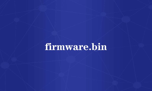 firmware.bin