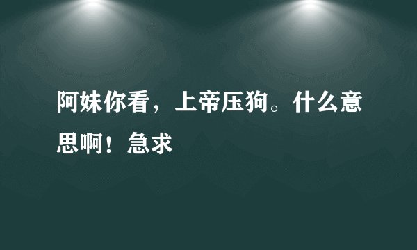 阿妹你看，上帝压狗。什么意思啊！急求
