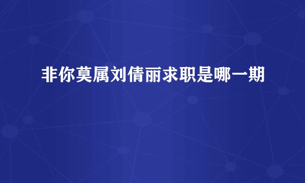 非你莫属刘倩丽求职是哪一期