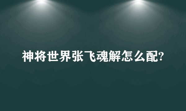 神将世界张飞魂解怎么配?