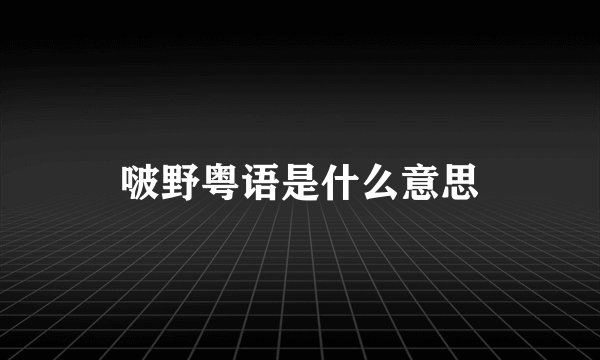 啵野粤语是什么意思