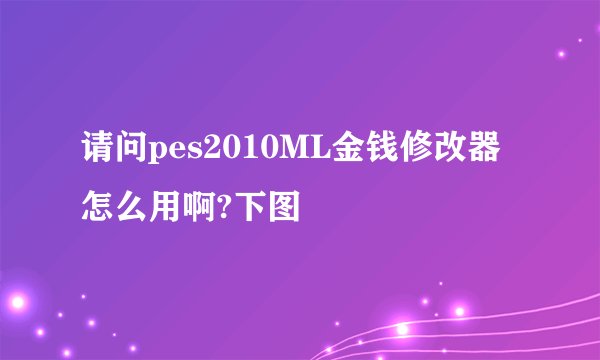 请问pes2010ML金钱修改器怎么用啊?下图