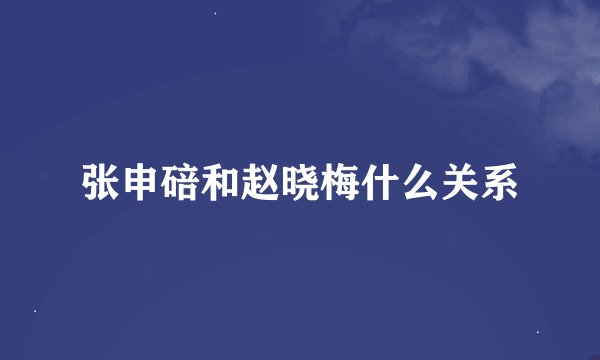 张申碚和赵晓梅什么关系