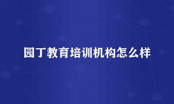 园丁教育培训机构怎么样